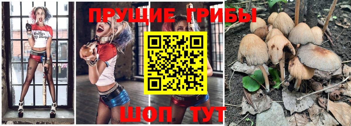 Галлюциногенные грибы прущие грибы Красноперекопск